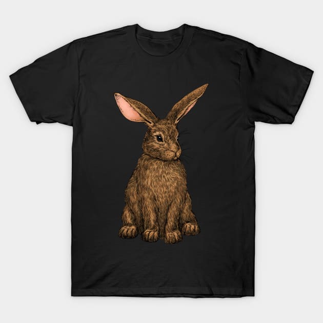 Rabbit 3 T-Shirt by katerinamk